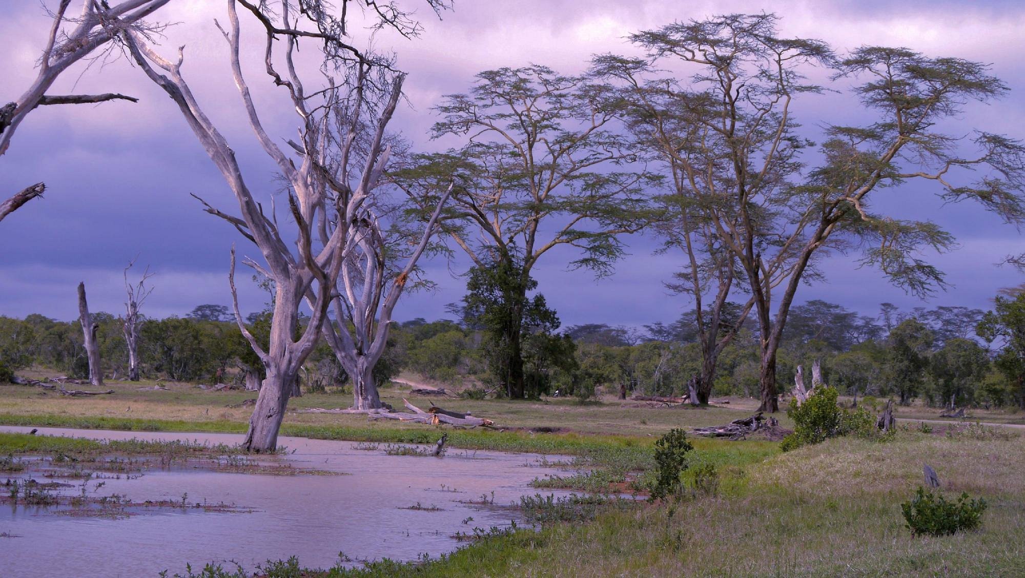 Porini Rhino Camp gallery 2